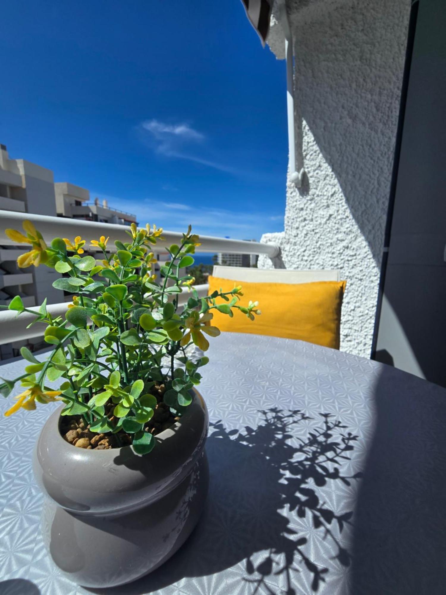 524 Ocean Dreams Las Americas ปลายาเดลาสอเมริกาส ภายนอก รูปภาพ